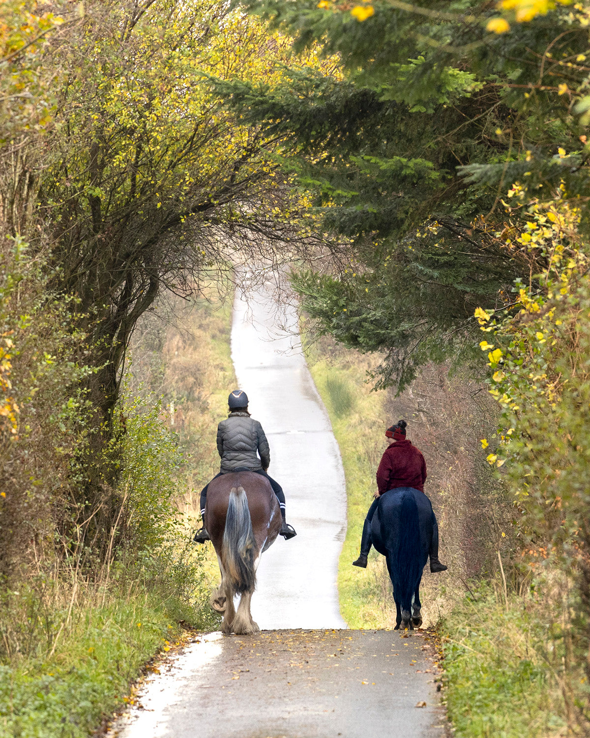 Yard & Hack Photoshoots