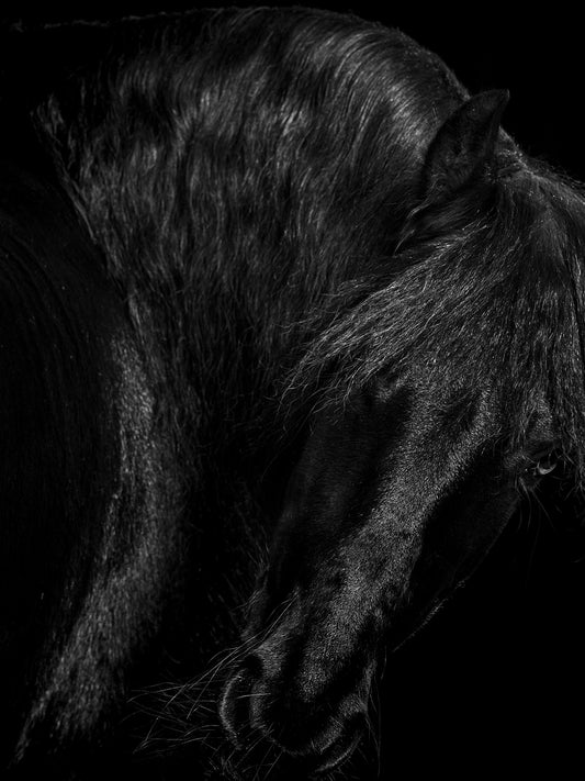 Back in Black Photoshoot