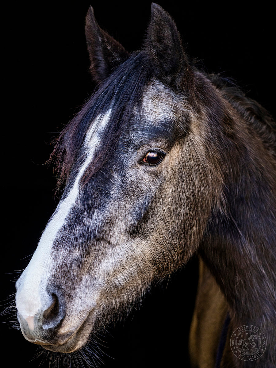 Back in Black Photoshoot