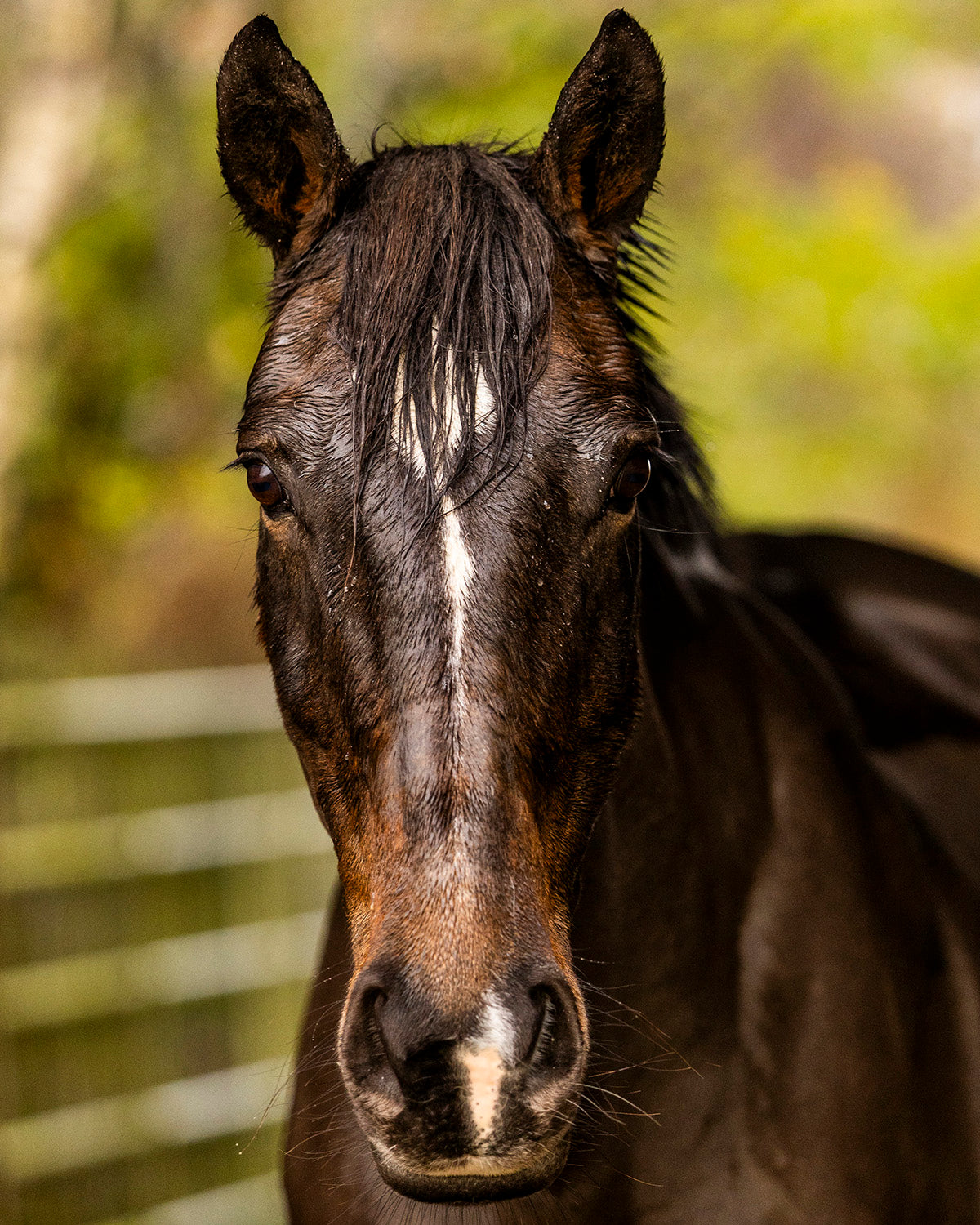 Yard & Hack Photoshoots