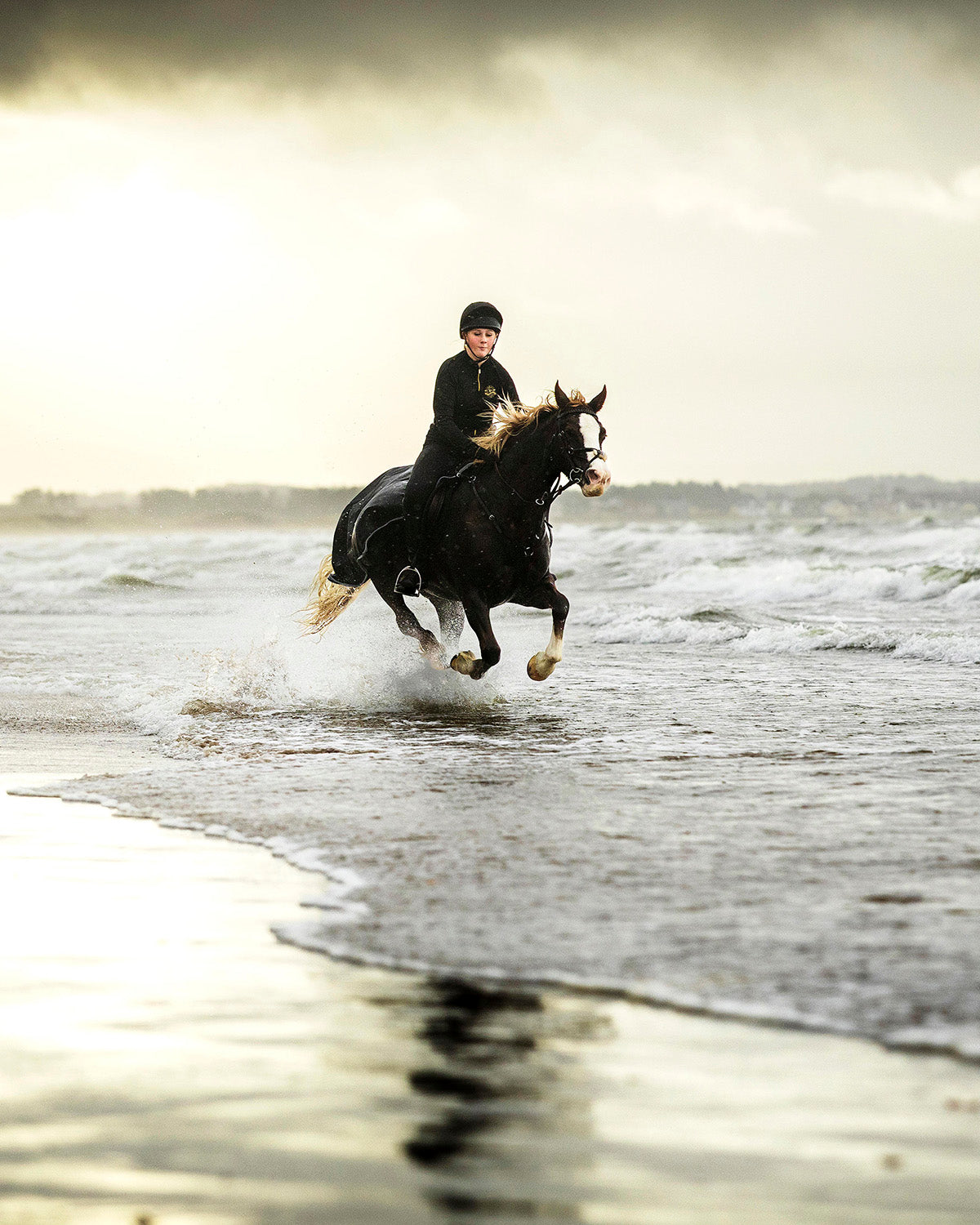Beach Pony Photoshoots