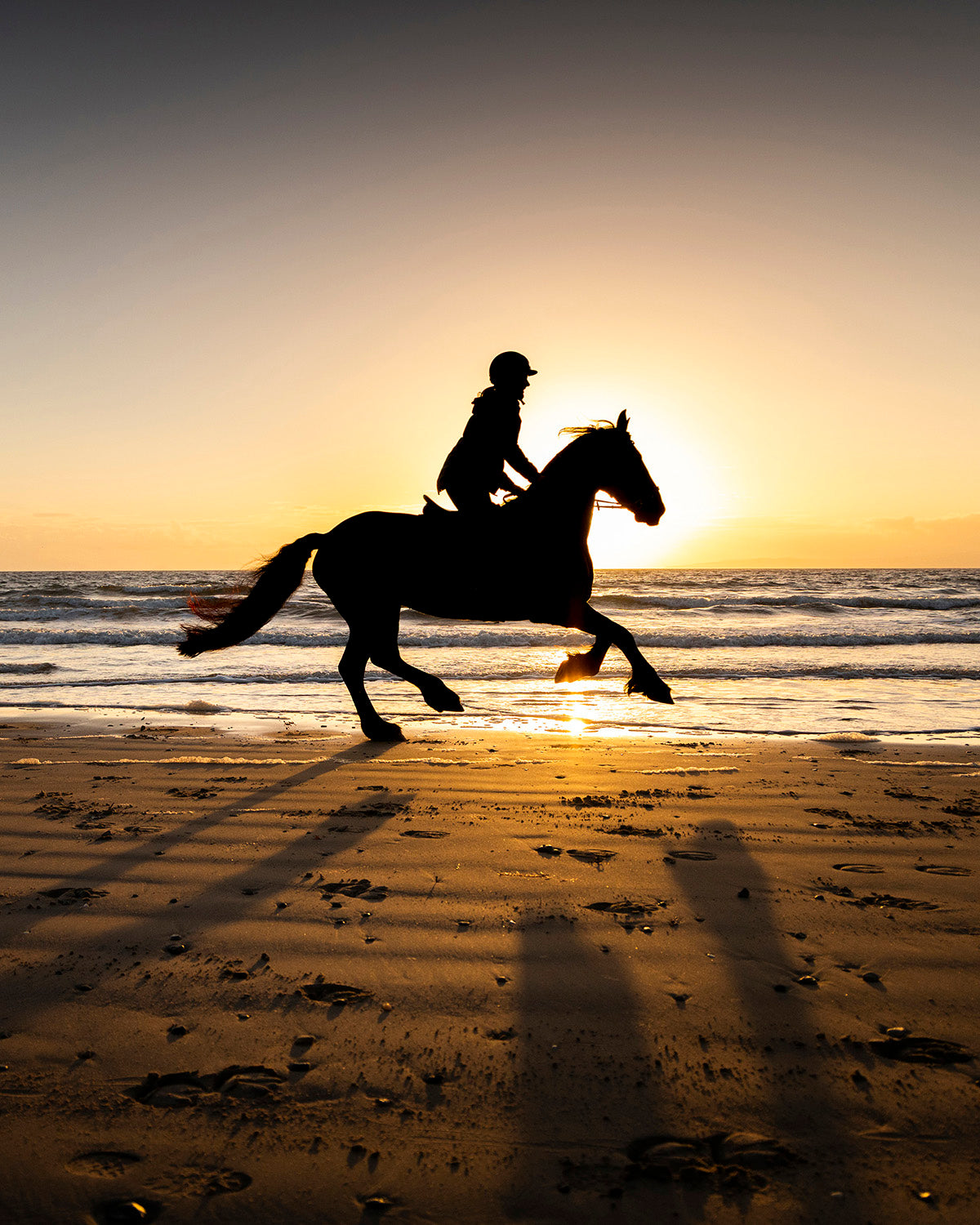 Beach Pony Photoshoots