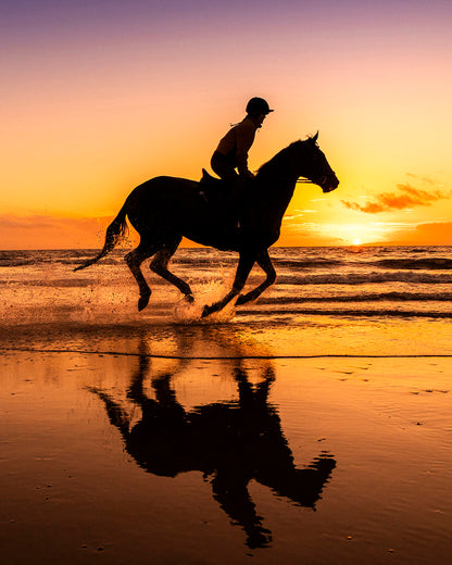 Beach Pony Photoshoots