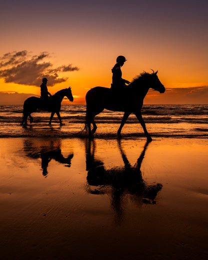 Beach Pony Photoshoots