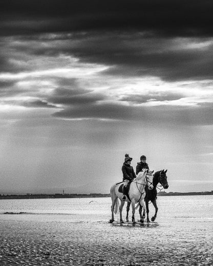 Beach Pony Photoshoots