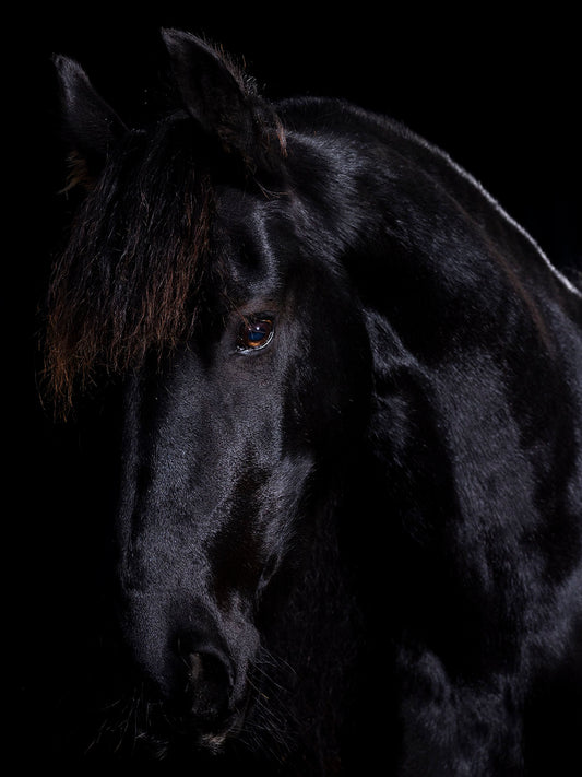 Back in Black Photoshoot