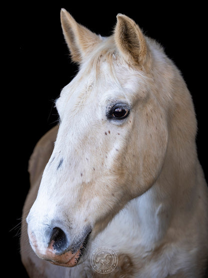 Back in Black Photoshoot