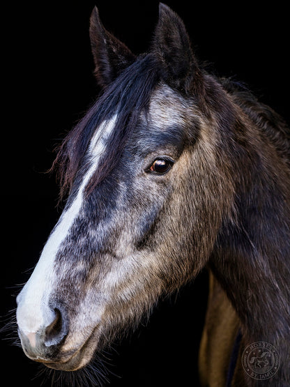 Back in Black Photoshoot