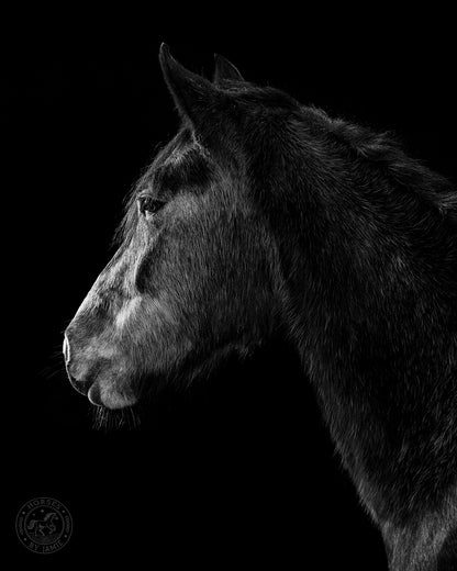 Back in Black Photoshoot